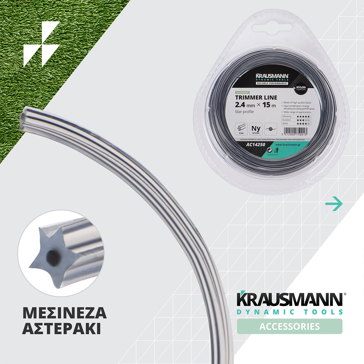 Mesinezes_xortokoptikon_asteraki_img_03