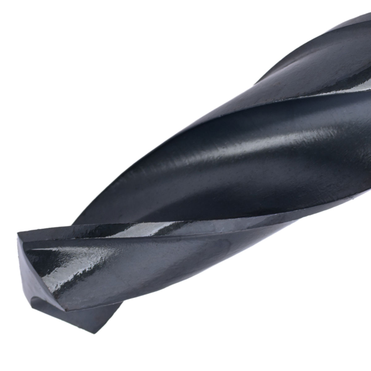 Tripania_metallou_HSS_img_03